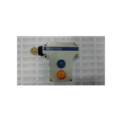 SWITCH DE EMERGENCIA TELEMECANIQUE IP65 3A 240 V  XY2 CE2A296