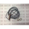 SENSOR  PEPPERL+FUCHS  NBB2-12GM50-E2 PARTE #83952