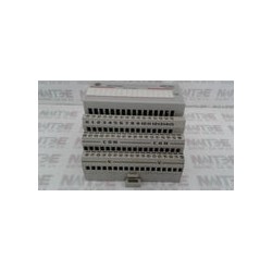 MODULO DE ENTRADA ALLEN BRADLEY 1794-1A16 120 VAC.