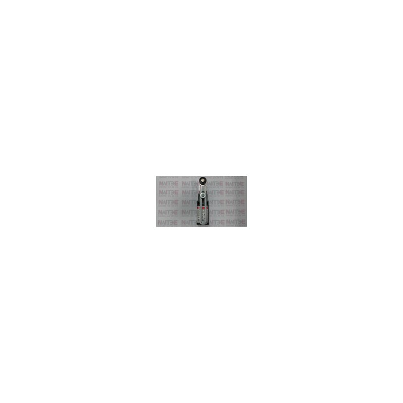INTERRUPTOR DE LIMITE ABB LS31P51B11  1NA/1NC DE RUPTURA BRUSCA ACTUADOR F CAT.1SBV010151R1211