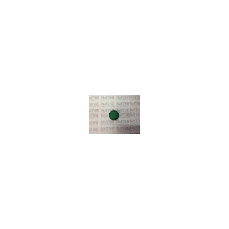 CAPUCHON HONGO ALLEN BRADLEY 800T-N302B VERDE
