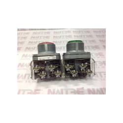 BOTONERA DOBLE ALLEN BRADLEY 800T-FB16F