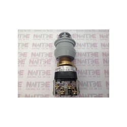 BOTON PULSADOR ILUMINADO ALLEN BRADLEY  800H-FPXQ24RA2   24 V. 2 POS. ROJO
