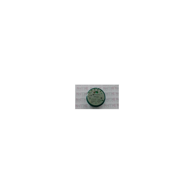MODULO VERDE LUMINOSO FIJO TELEMECANIQUE XVAC33