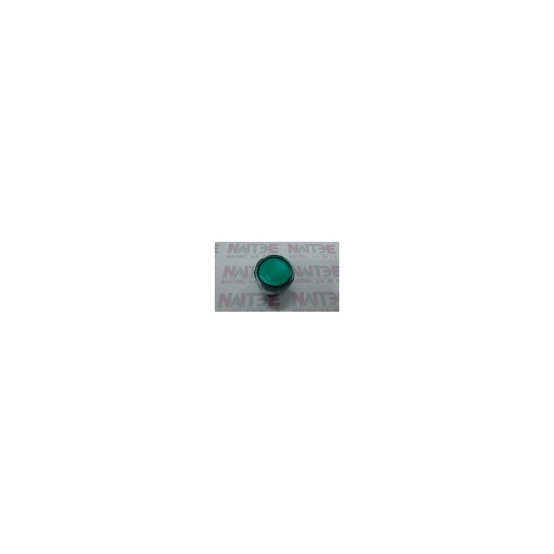 CABEZA P/PULSADOR ILUM.VERDE TELEMECANIQUE ZB4BW333