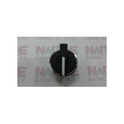 SELECTOR 2 POSICIONES TELEMECANIQUE ZB4 BD4 S/RETENCION MANETA CORTA  HARMONY