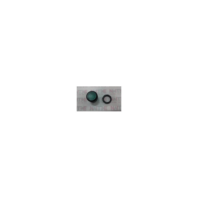 BOTON PULSADOR ILUMINADO ABB 1SFA611100R1102, VERDE, MOMENTANEO, 110 VCA.