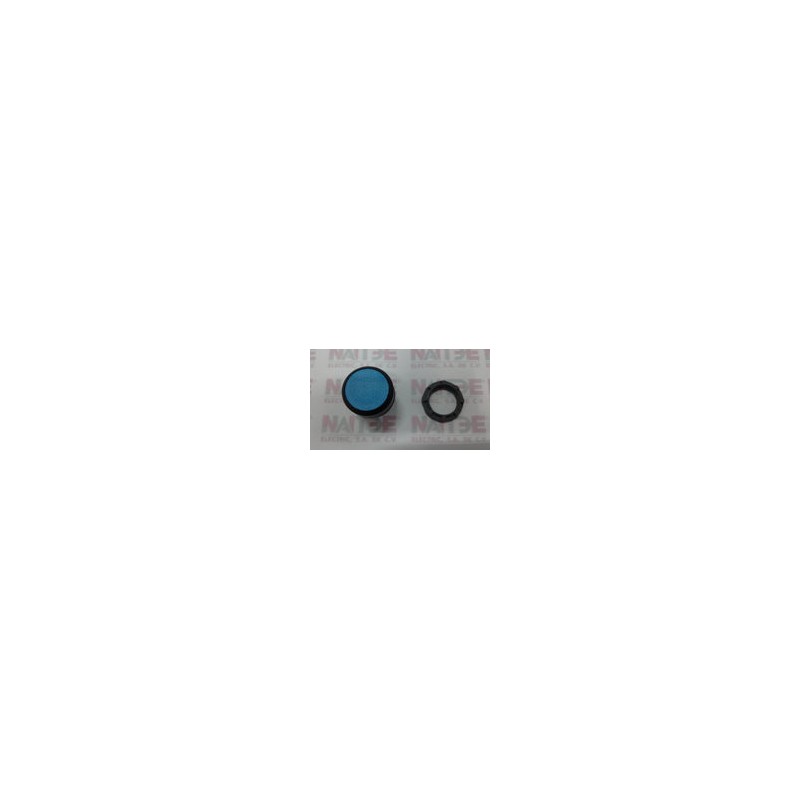 BOTON PULSADOR NO ILUNIMADO ABB 1SFA611100R1004, AZUL, MOMENTANEO, 22 MM