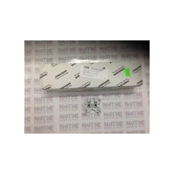 CLEMA DE PASO ABB 1SNK506010R0000, 6 MM, TIPO ZS6, GRIS, CAL.24-10 AWG
