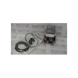 SELECTOR  ALLEN BRADLEY  800T - H2A DE 2 POS.