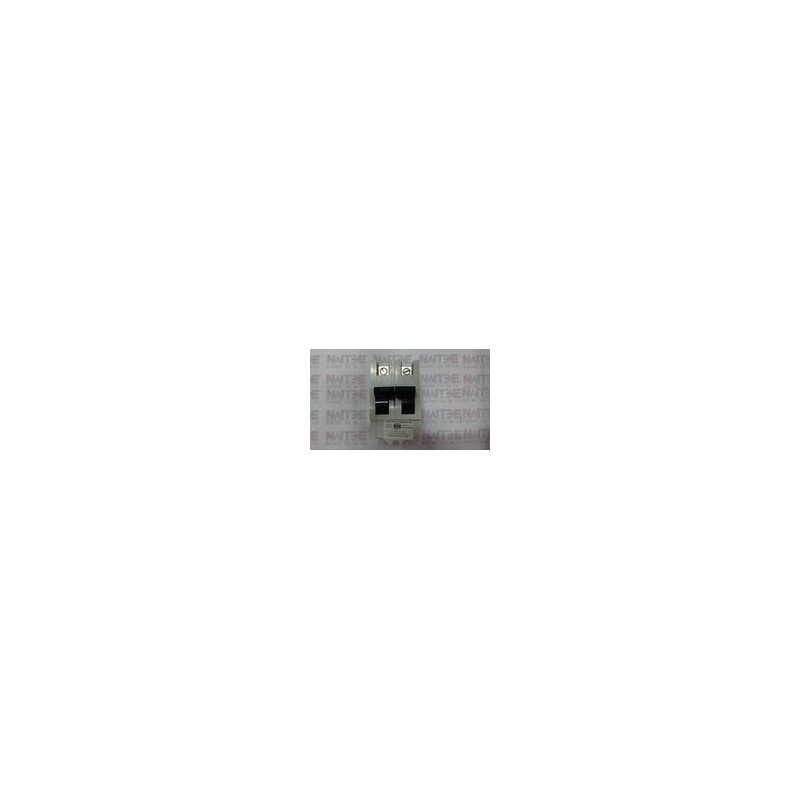 PASTILLA STAB-LOK FEDERAL PACIFIC NAM230 30 AMP 2 P 240 V COLOR GRIS